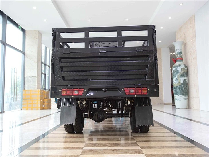 5.250cc Heavy duty cargo trike